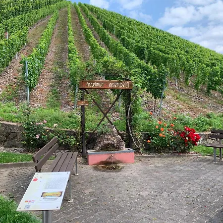 Count Von Hatzfeld Mit Moselblick Hébergement de vacances *