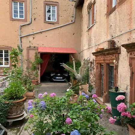 Count Von Hatzfeld Mit Moselblick * Kinheim