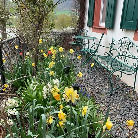 Hébergement de vacances Count Von Hatzfeld Mit Moselblick Kinheim